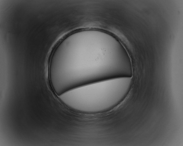 X0000099571224200805160719
