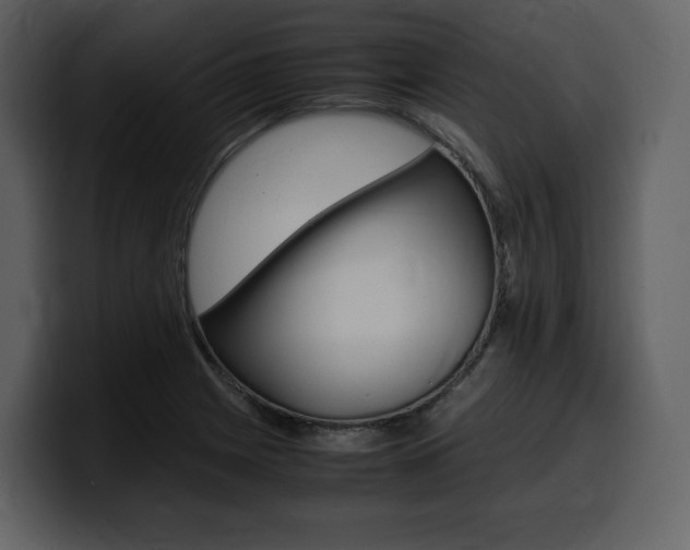 X0000099571225200805160719