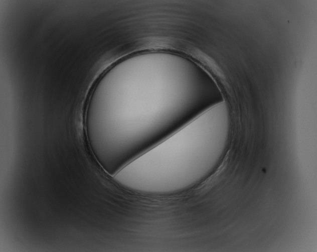 X0000099571226200805160719