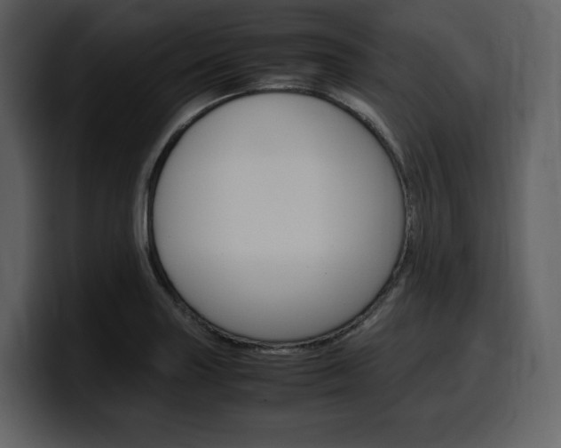 X0000099571227200805160719