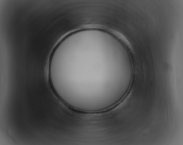 X0000099571228200805160719