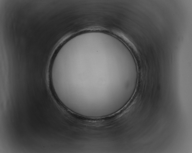 X0000099571229200805160719
