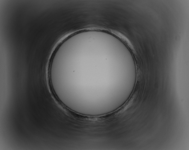 X0000099571231200805160719