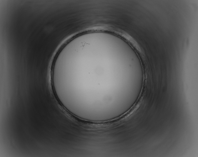 X0000099571232200805160719