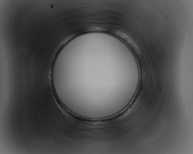 X0000099571233200805160719