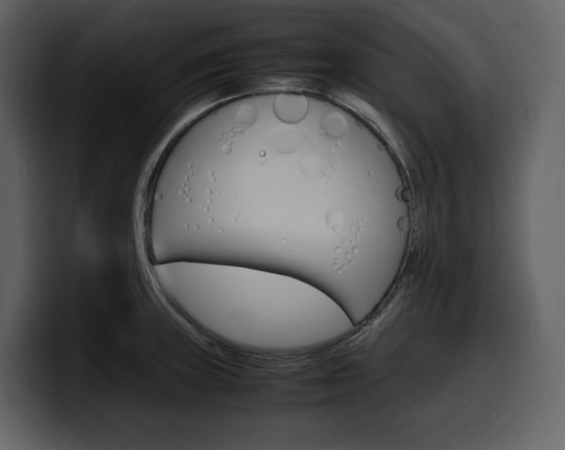 X0000099571235200805160719