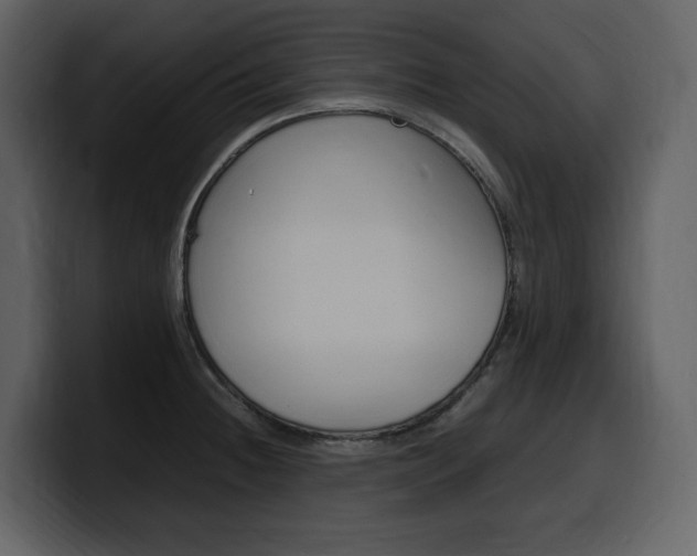 X0000099571236200805160719