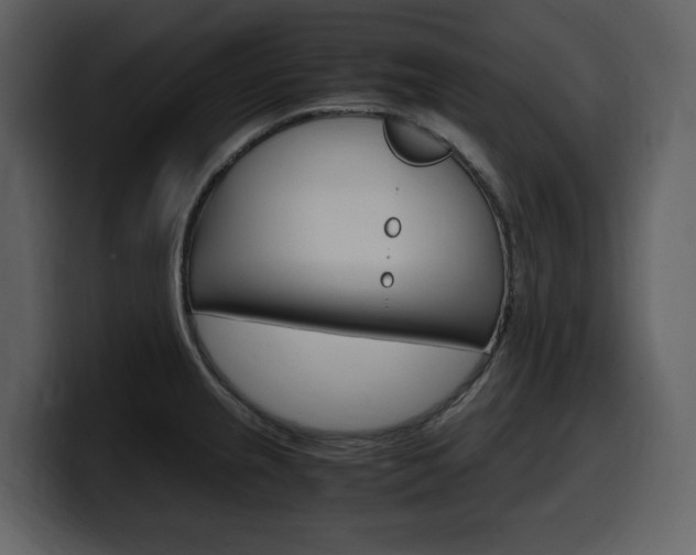 X0000099571237200805160719