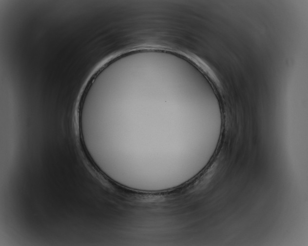 X0000099571238200805160719