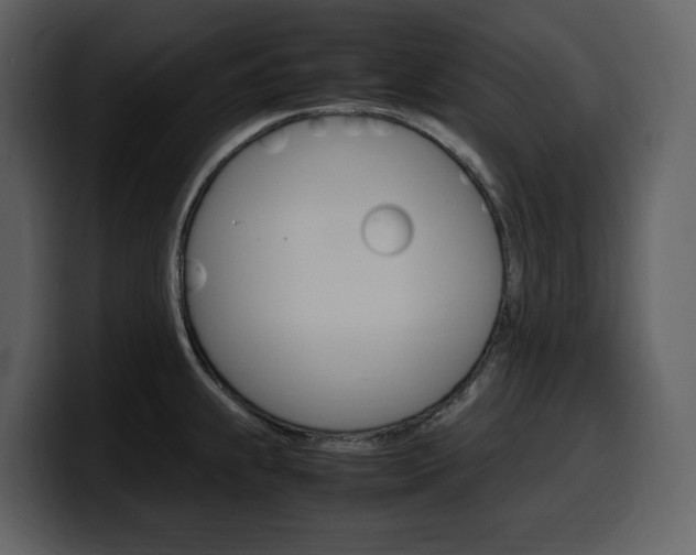 X0000099571239200805160719