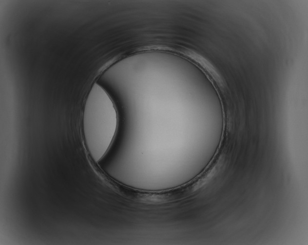 X0000099571241200805160719