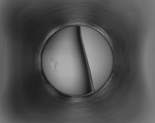 X0000099571242200805160719