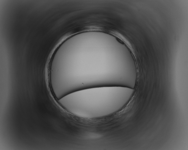 X0000099571243200805160719