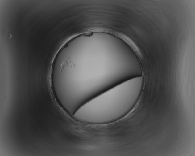 X0000099571244200805160719