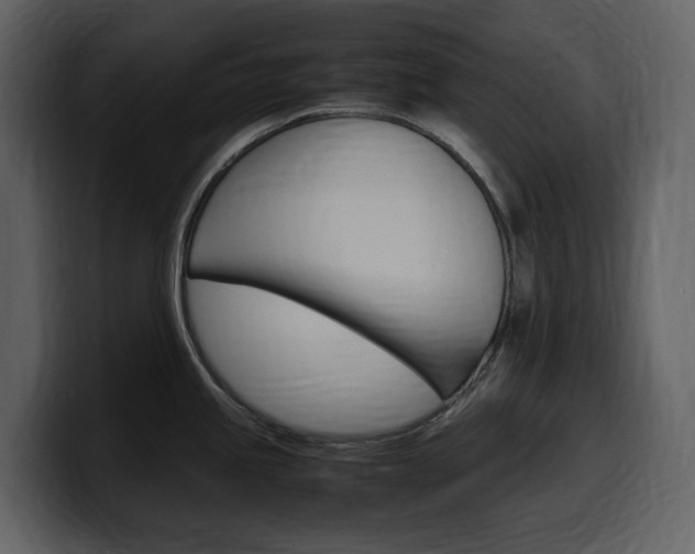 X0000099571245200805160719