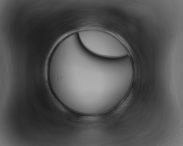 X0000099571246200805160719