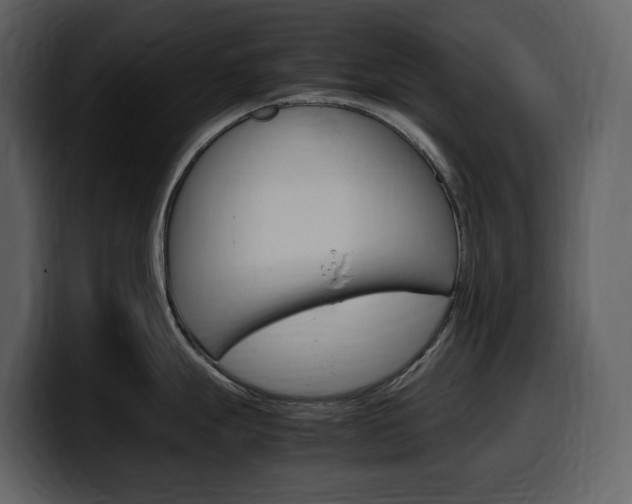 X0000099571247200805160719