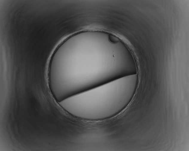 X0000099571248200805160719