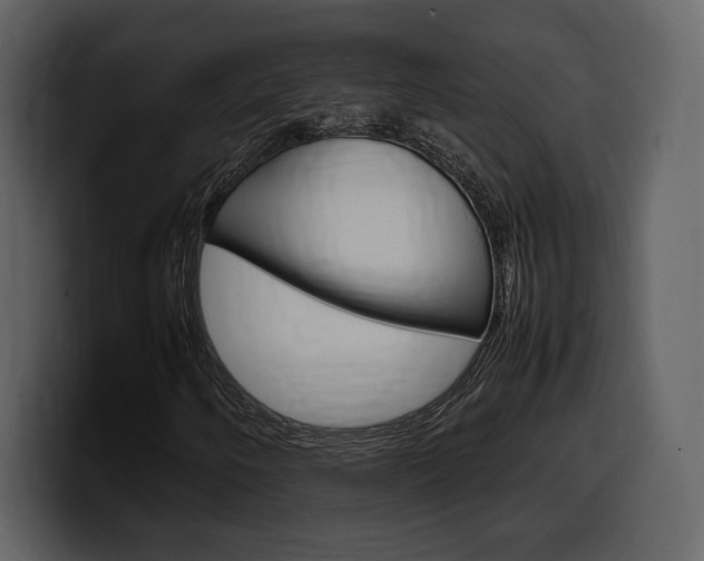 X0000099571250200805160719