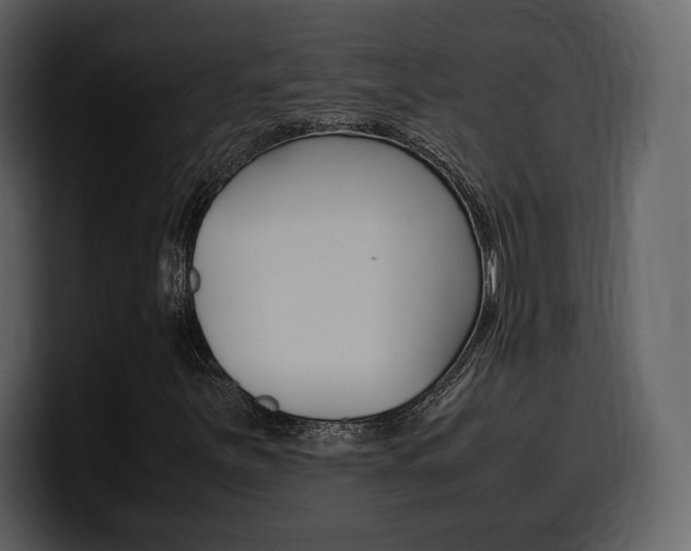 X0000099571251200805160719