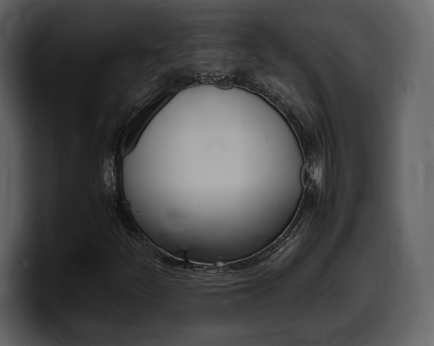 X0000099571252200805160719