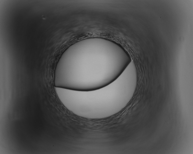 X0000099571253200805160719