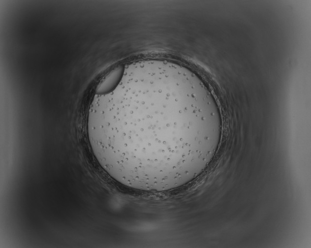 X0000099571255200805160719