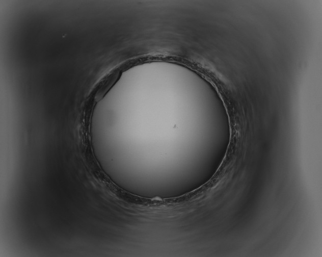 X0000099571256200805160719