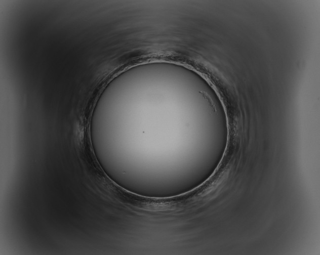 X0000099571257200805160719