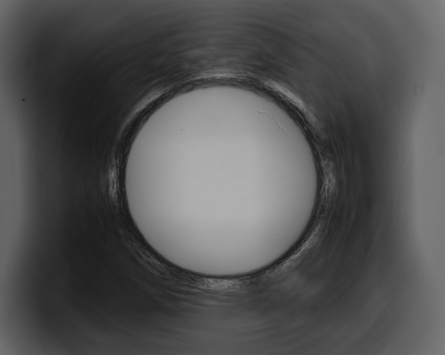 X0000099571258200805160719