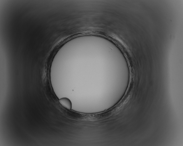 X0000099571259200805160719