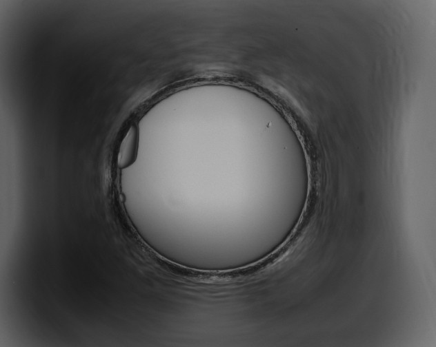 X0000099571261200805160719
