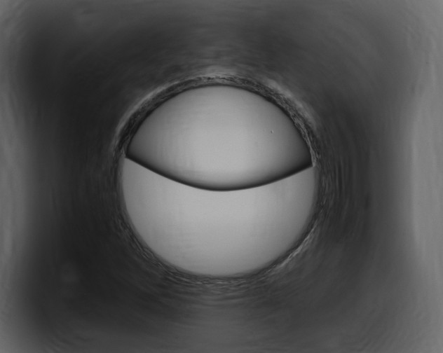 X0000099571262200805160719