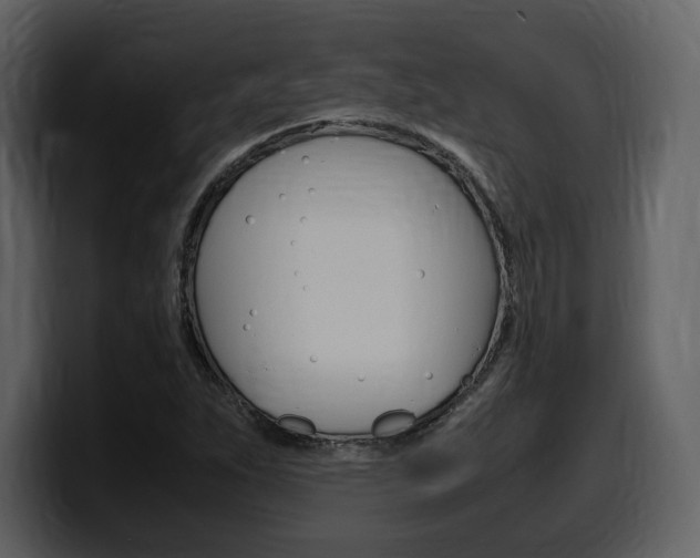 X0000099571263200805160719