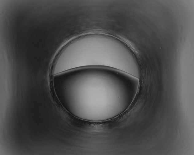 X0000099571264200805160719