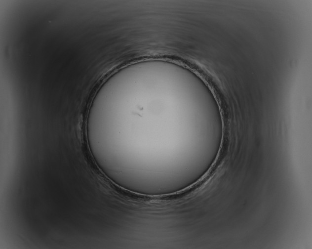 X0000099571265200805160719