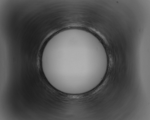 X0000099571266200805160719