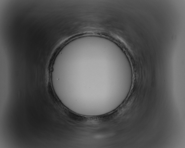 X0000099571267200805160719