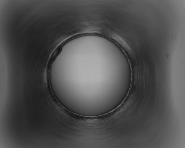X0000099571268200805160718