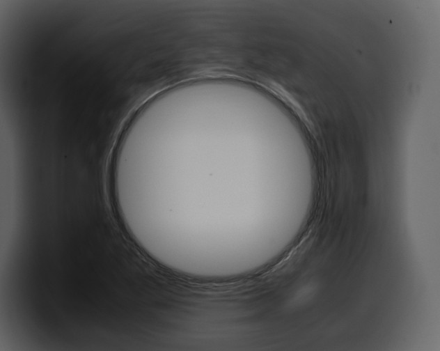X0000099571269200805160718