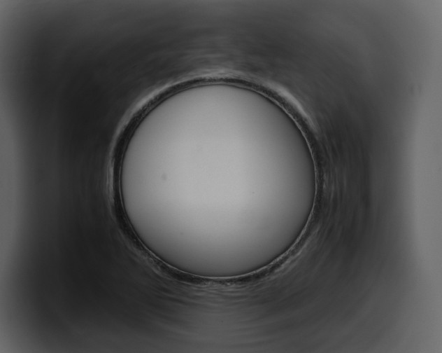 X0000099571270200805160718