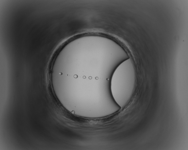 X0000099571271200805160718