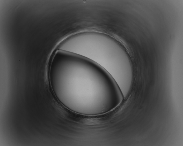 X0000099571272200805160718
