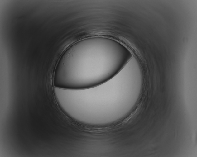X0000099571273200805160718