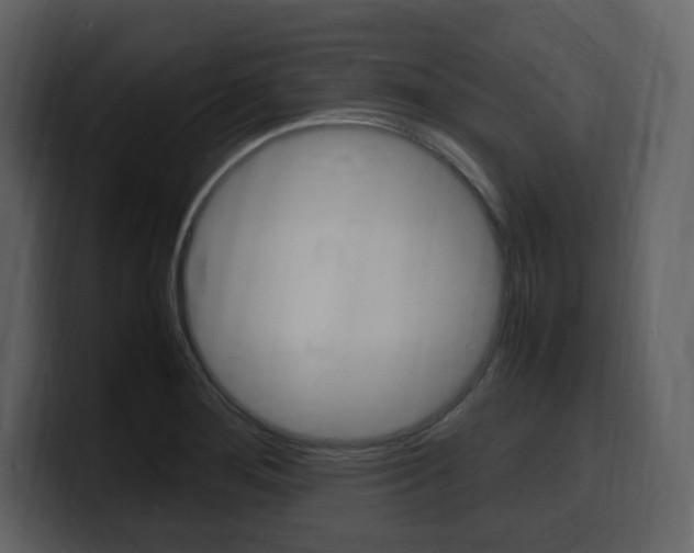 X0000099571276200805160718