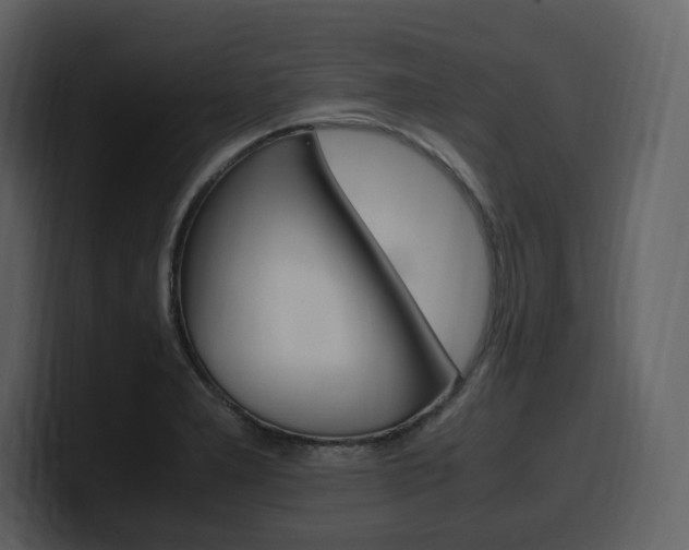 X0000099571277200805160718
