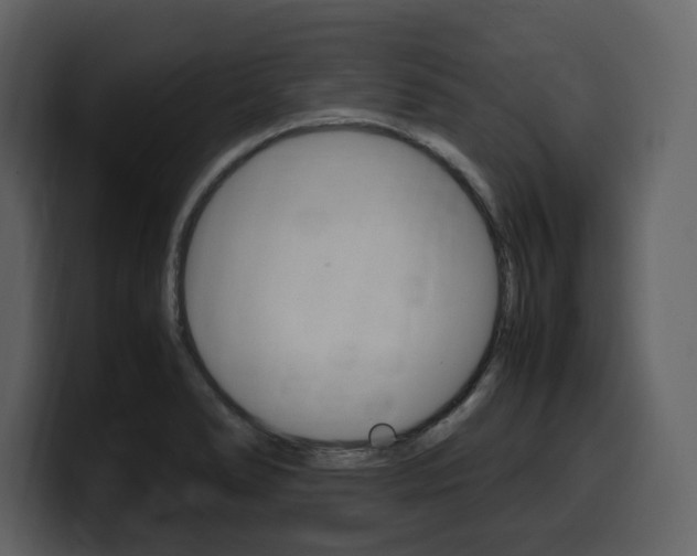 X0000099571278200805160718