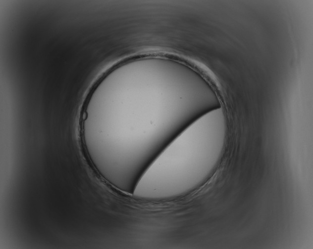 X0000099571279200805160718