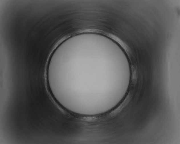 X0000099571282200805160718