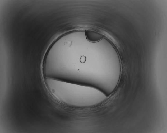 X0000099571283200805160718